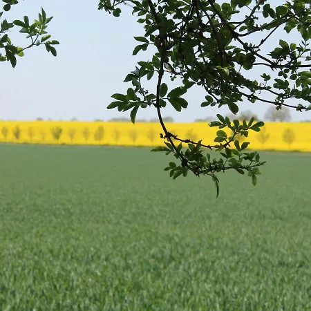 Apartman Hideaway For 3 Guests