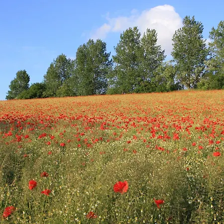 Hideaway For 3 Guests
