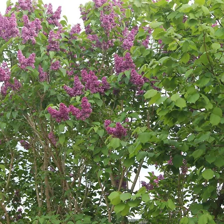 Hideaway For 3 Guests Apartman *